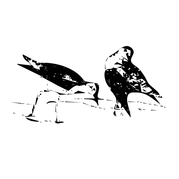 Silhouette vector illustration of birds